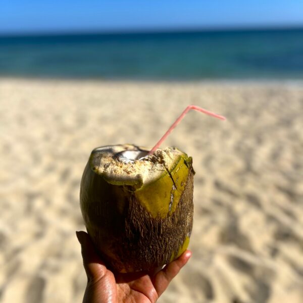 Cayo Cruz - dégustation eau de coco