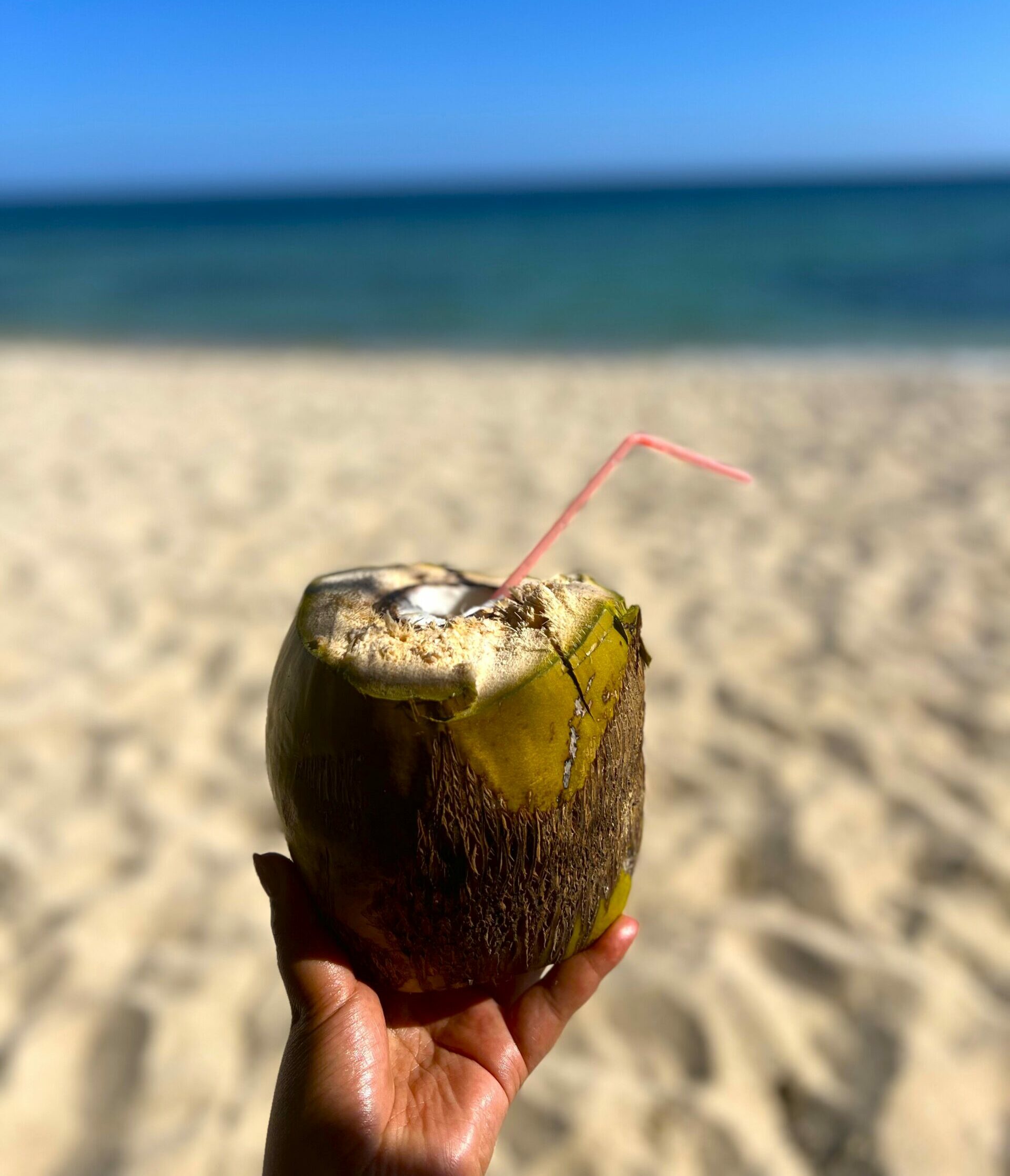 Cayo Cruz - dégustation eau de coco