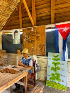 Cigare à Viñales