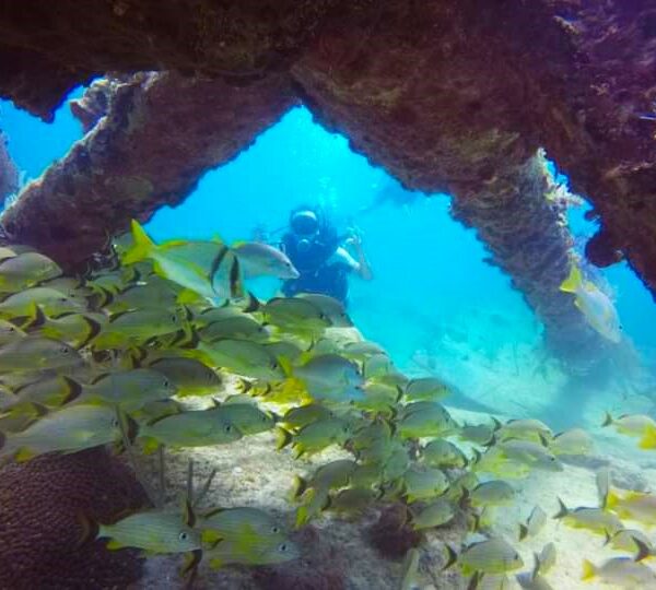 Plongée sous marine