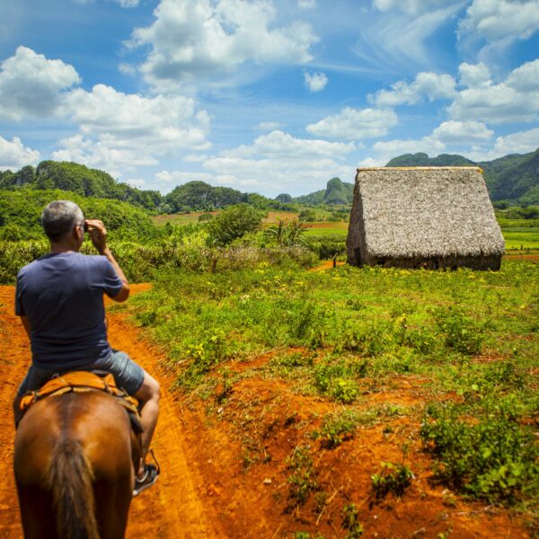 Balade à cheval à Viñales