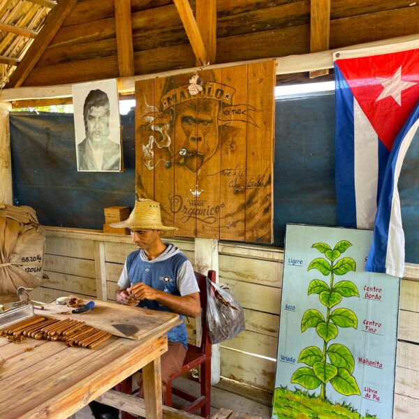 Découverte du tabac et des cigares Viñales