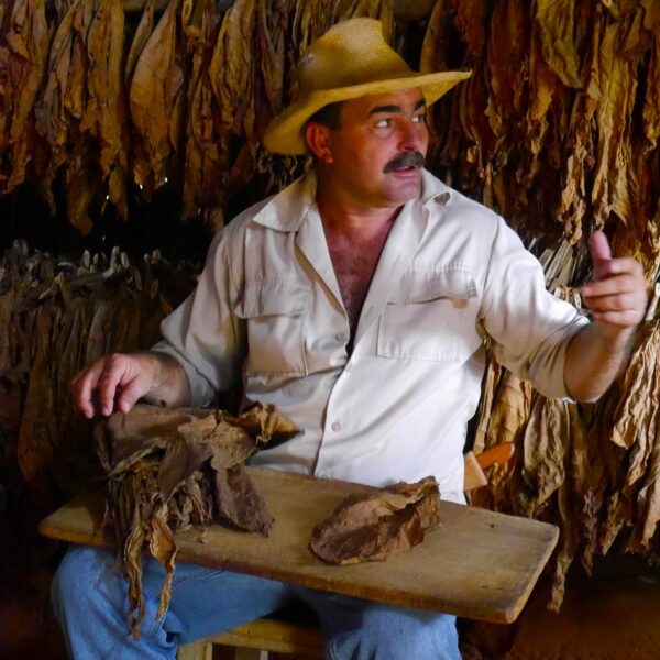 Rencontre dans une finca de tabac