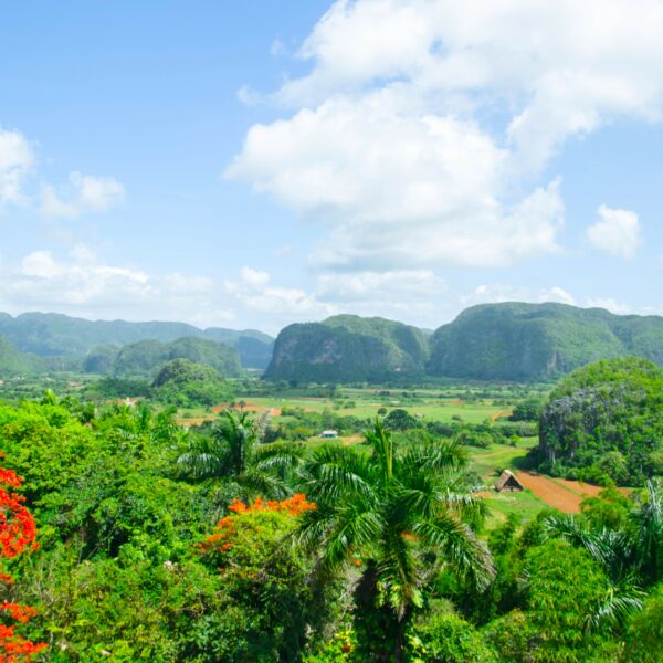 Vue sur les mogotes Viñales